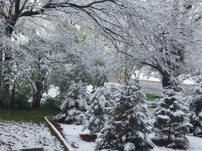 Cincy wx surprise 1.jpg