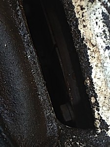 IMG_3110.jpg