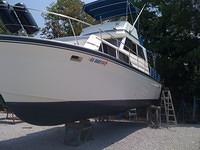 10442.40.RNH 8.JPG.jpg.yafalbum