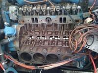 27906.D 1.JPG.jpg.yafupload