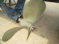 490.21.IMG 8383.JPG.jpg.yafalbum